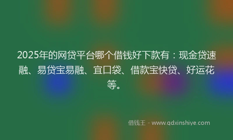 2025年的网贷平台哪个借钱好下款有：现金贷速融、易贷宝易融、宜口袋、借款宝快贷、好运花等。