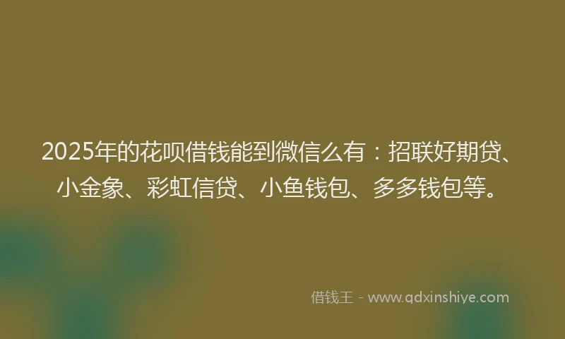 2025年的花呗借钱能到微信么有：招联好期贷、小金象、彩虹信贷、小鱼钱包、多多钱包等。