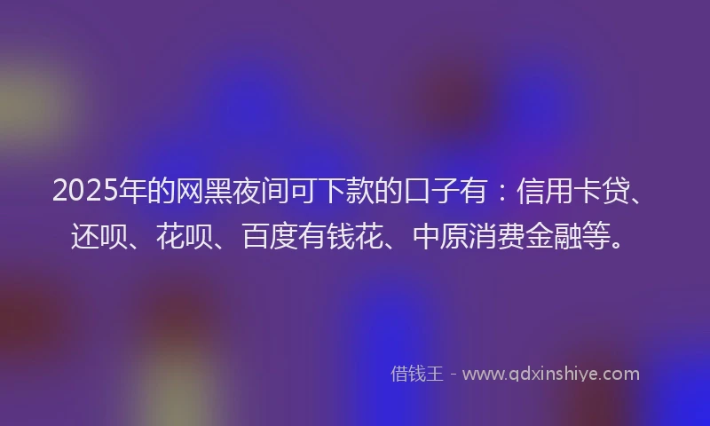 2025年的网黑夜间可下款的口子有：信用卡贷、还呗、花呗、百度有钱花、中原消费金融等。