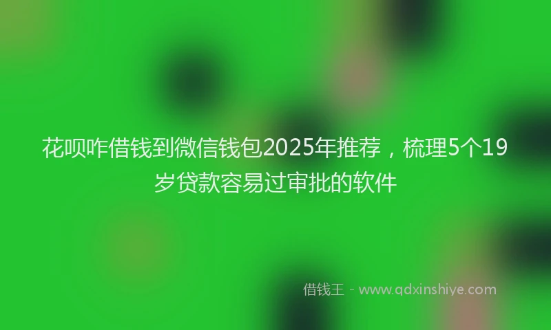 花呗咋借钱到微信钱包2025年推荐，梳理5个19岁贷款容易过审批的软件
