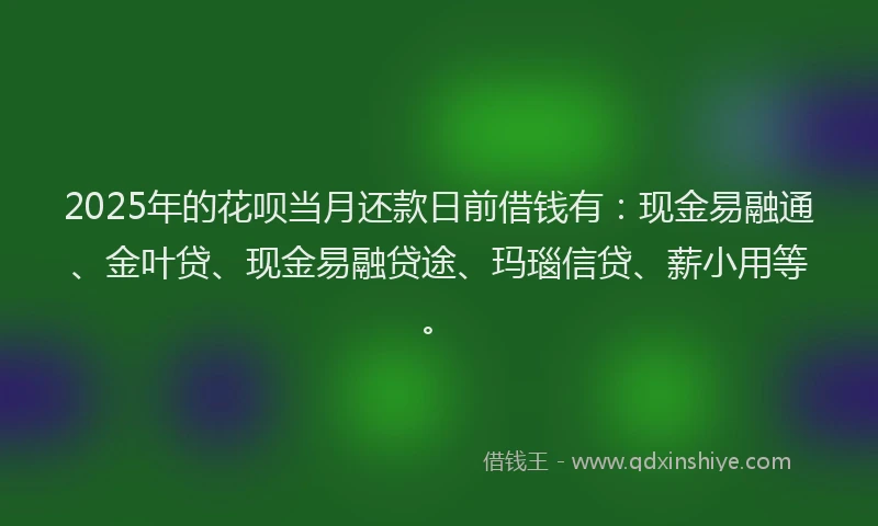 2025年的花呗当月还款日前借钱有：现金易融通、金叶贷、现金易融贷途、玛瑙信贷、薪小用等。