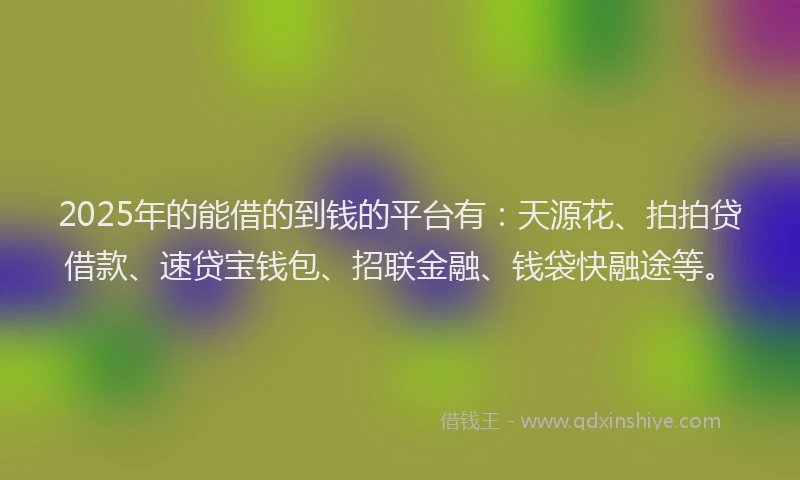 2025年的能借的到钱的平台有：天源花、拍拍贷借款、速贷宝钱包、招联金融、钱袋快融途等。