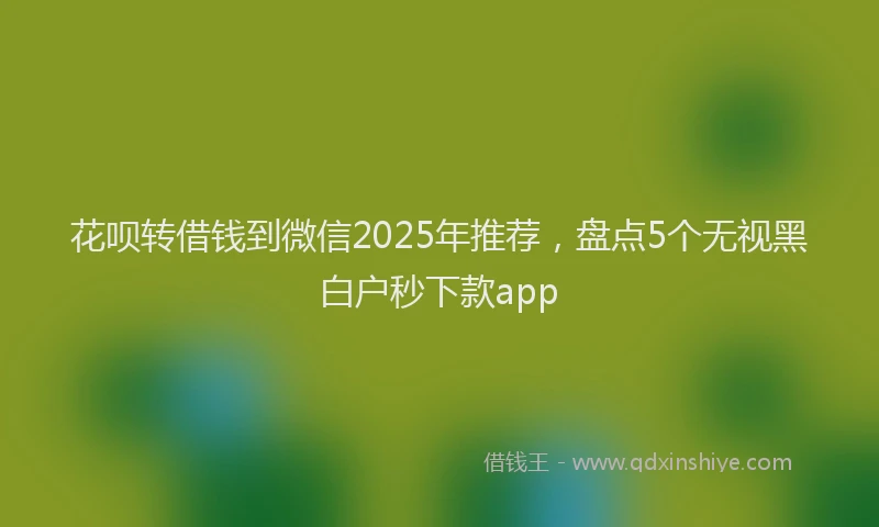 花呗转借钱到微信2025年推荐，盘点5个无视黑白户秒下款app
