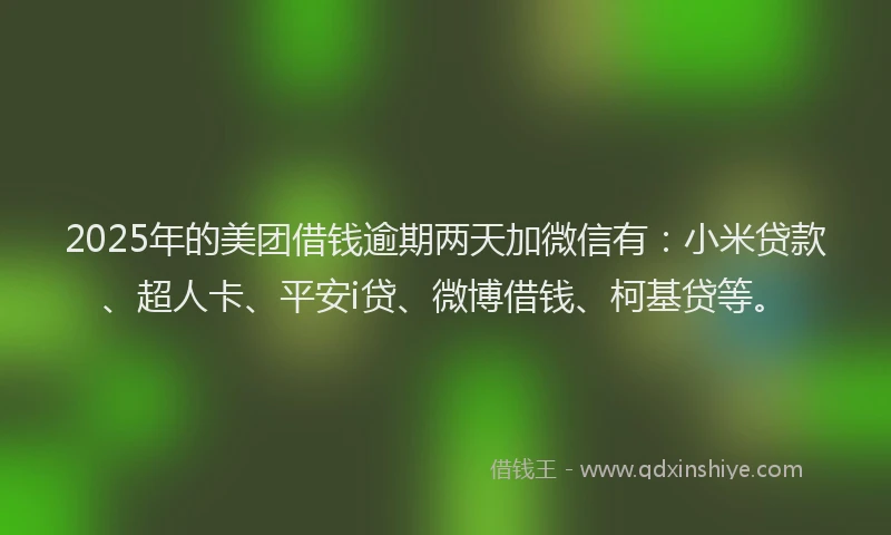 2025年的美团借钱逾期两天加微信有：小米贷款、超人卡、平安i贷、微博借钱、柯基贷等。
