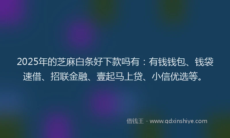 2025年的芝麻白条好下款吗有：有钱钱包、钱袋速借、招联金融、壹起马上贷、小信优选等。
