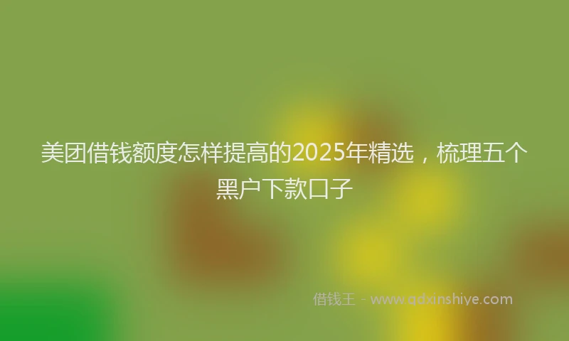美团借钱额度怎样提高的2025年精选，梳理五个黑户下款口子