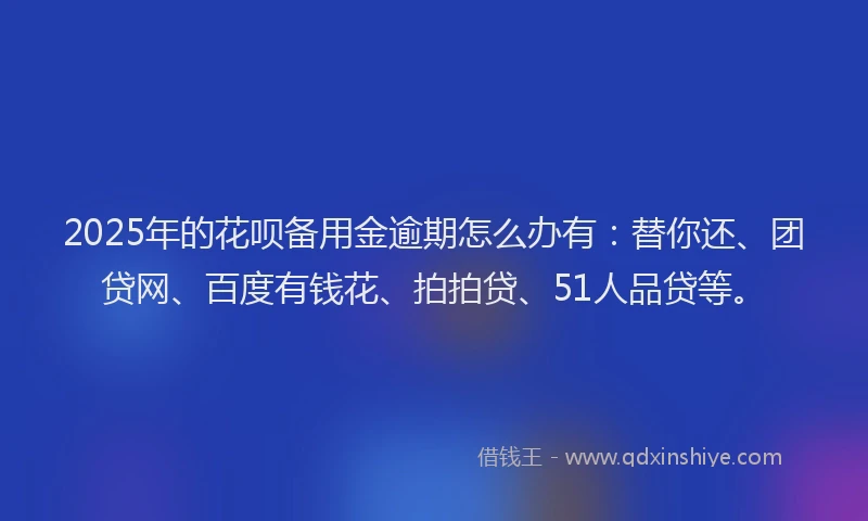 2025年的花呗备用金逾期怎么办有：替你还、团贷网、百度有钱花、拍拍贷、51人品贷等。