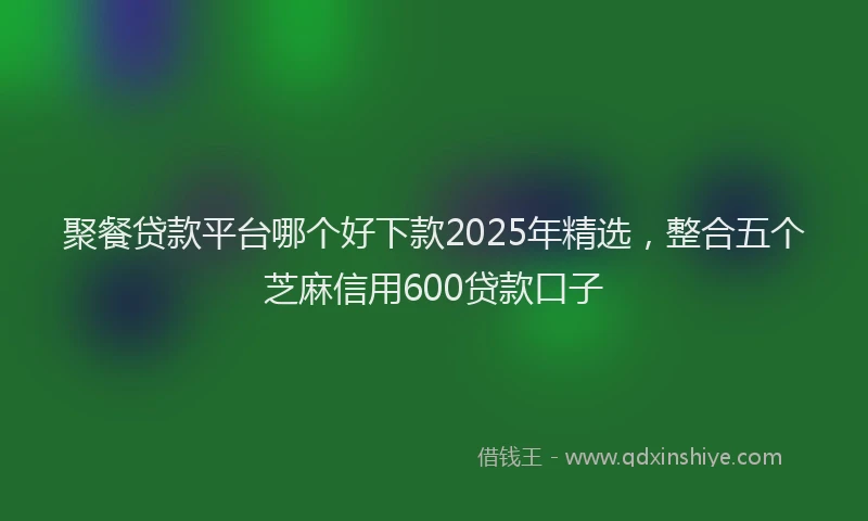 聚餐贷款平台哪个好下款2025年精选，整合五个芝麻信用600贷款口子