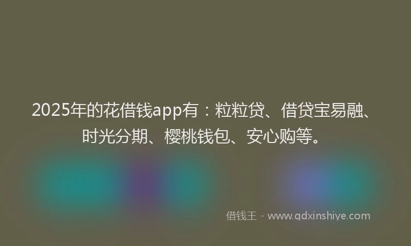 2025年的花借钱app有：粒粒贷、借贷宝易融、时光分期、樱桃钱包、安心购等。