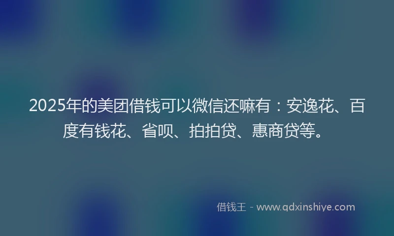 2025年的美团借钱可以微信还嘛有：安逸花、百度有钱花、省呗、拍拍贷、惠商贷等。