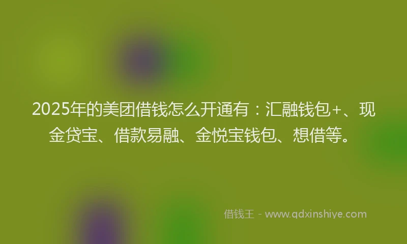 2025年的美团借钱怎么开通有：汇融钱包+、现金贷宝、借款易融、金悦宝钱包、想借等。