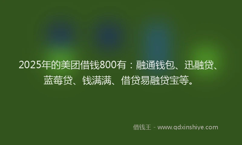 2025年的美团借钱800有：融通钱包、迅融贷、蓝莓贷、钱满满、借贷易融贷宝等。
