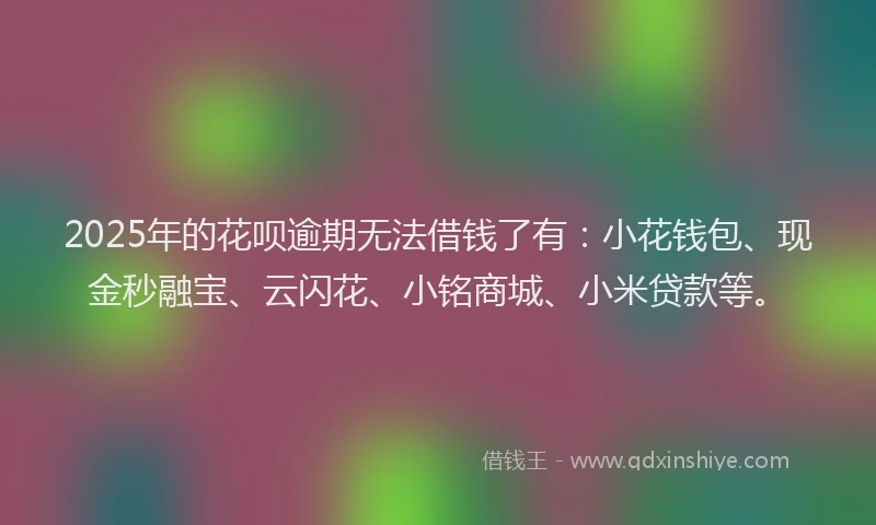 2025年的花呗逾期无法借钱了有：小花钱包、现金秒融宝、云闪花、小铭商城、小米贷款等。
