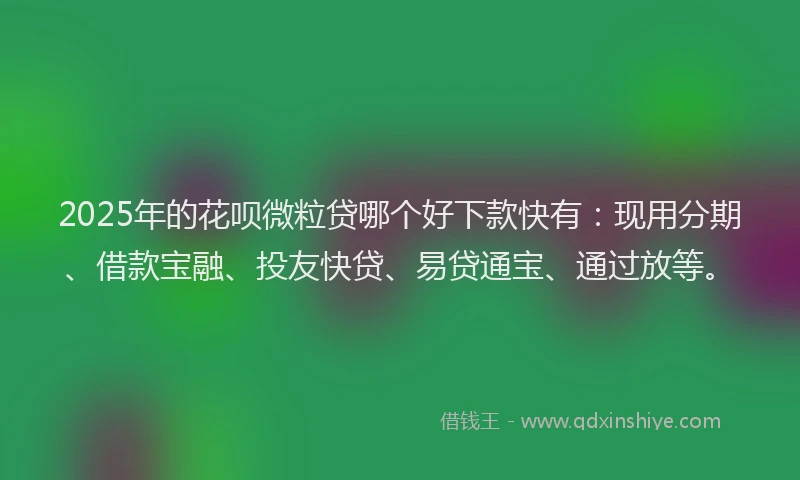 2025年的花呗微粒贷哪个好下款快有：现用分期、借款宝融、投友快贷、易贷通宝、通过放等。