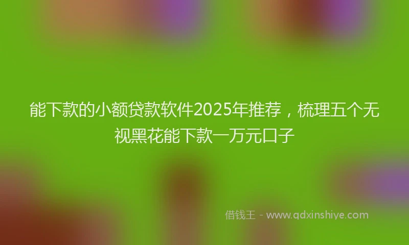 能下款的小额贷款软件2025年推荐，梳理五个无视黑花能下款一万元口子