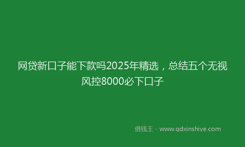 网贷新口子能下款吗2025年精选，总结五个无视风控8000必下口子