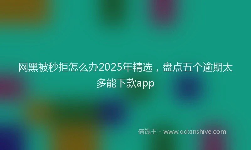 网黑被秒拒怎么办2025年精选，盘点五个逾期太多能下款app