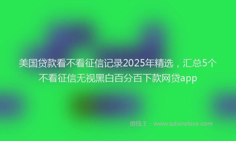 美国贷款看不看征信记录2025年精选，汇总5个不看征信无视黑白百分百下款网贷app