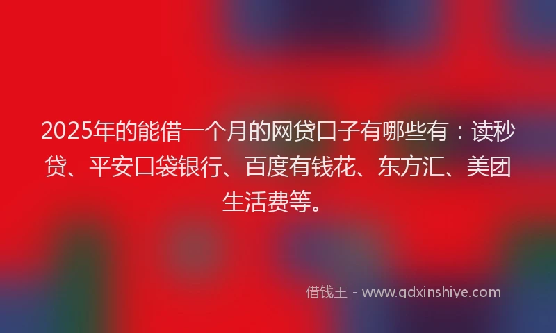 2025年的能借一个月的网贷口子有哪些有：读秒贷、平安口袋银行、百度有钱花、东方汇、美团生活费等。