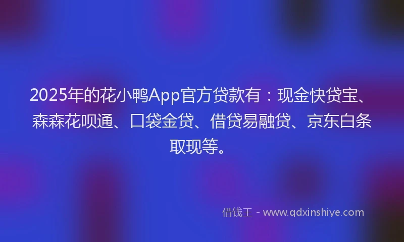 2025年的花小鸭App官方贷款有：现金快贷宝、森森花呗通、口袋金贷、借贷易融贷、京东白条取现等。