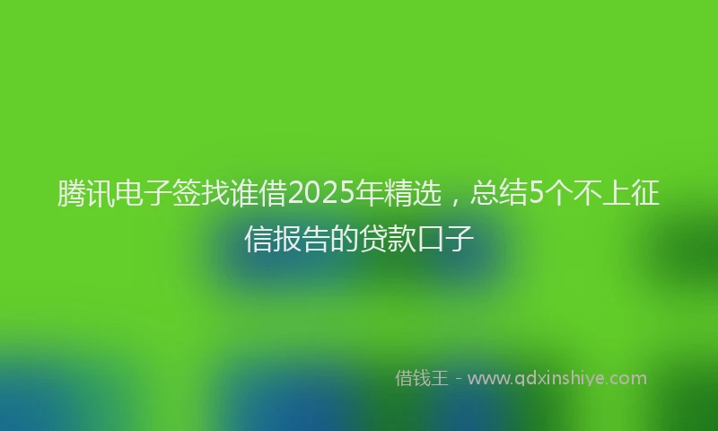 腾讯电子签找谁借2025年精选，总结5个不上征信报告的贷款口子