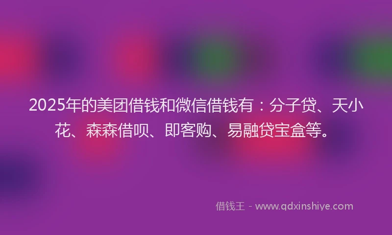 2025年的美团借钱和微信借钱有：分子贷、天小花、森森借呗、即客购、易融贷宝盒等。