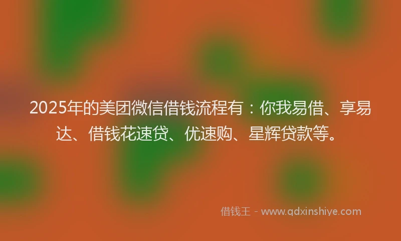 2025年的美团微信借钱流程有：你我易借、享易达、借钱花速贷、优速购、星辉贷款等。