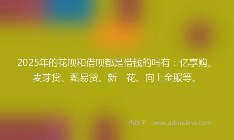 2025年的花呗和借呗都是借钱的吗有：亿享购、麦芽贷、甄易贷、新一花、向上金服等。