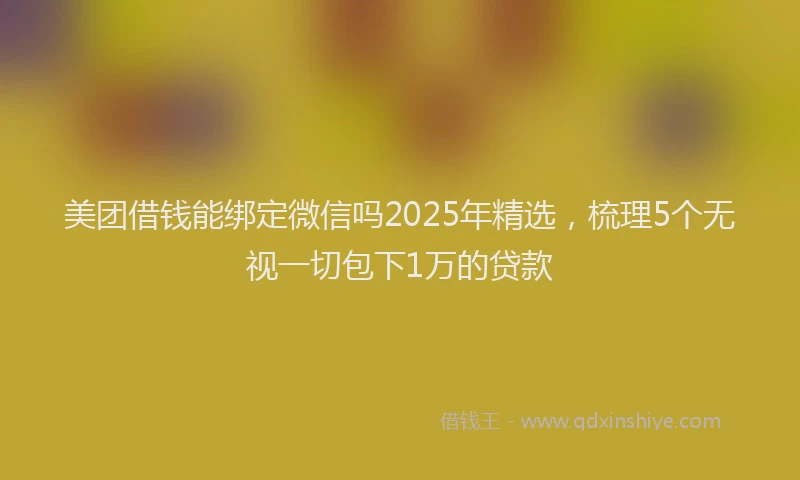 美团借钱能绑定微信吗2025年精选，梳理5个无视一切包下1万的贷款