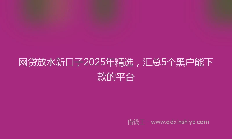 网贷放水新口子2025年精选，汇总5个黑户能下款的平台