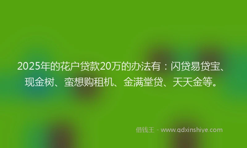 2025年的花户贷款20万的办法有：闪贷易贷宝、现金树、蛮想购租机、金满堂贷、天天金等。
