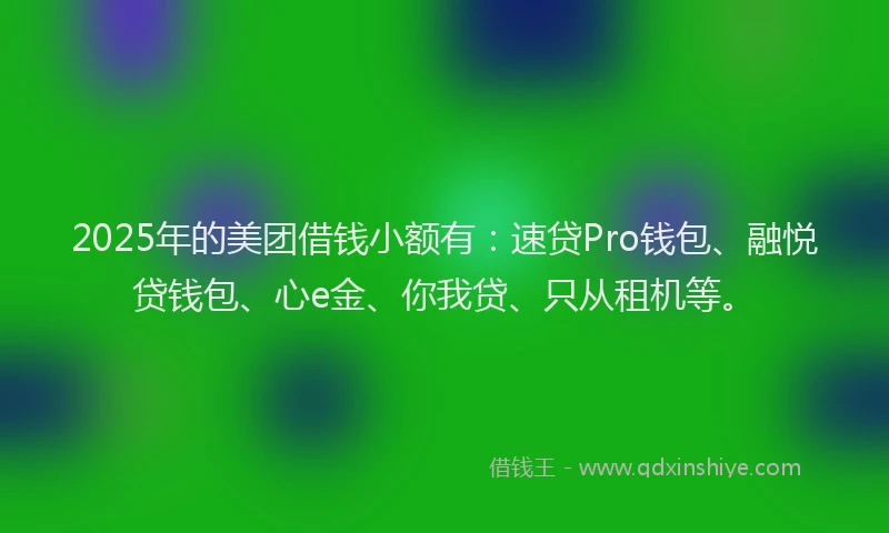 2025年的美团借钱小额有：速贷Pro钱包、融悦贷钱包、心e金、你我贷、只从租机等。