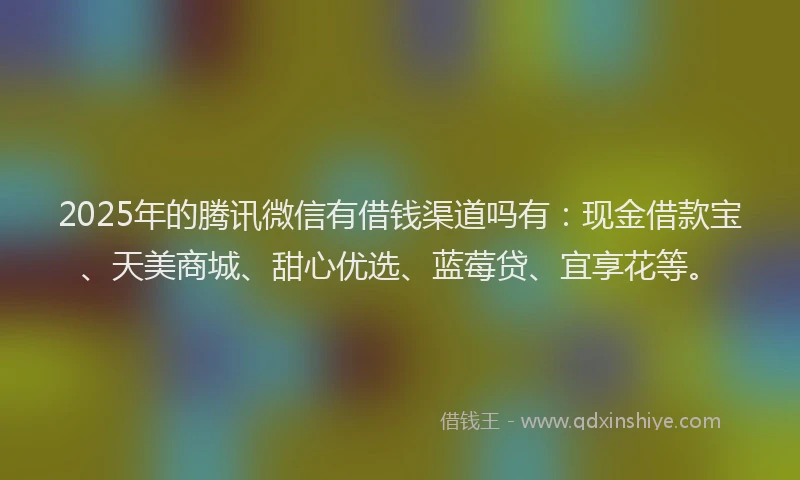 2025年的腾讯微信有借钱渠道吗有：现金借款宝、天美商城、甜心优选、蓝莓贷、宜享花等。