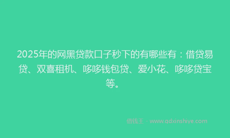 2025年的网黑贷款口子秒下的有哪些有：借贷易贷、双喜租机、哆哆钱包贷、爱小花、哆哆贷宝等。