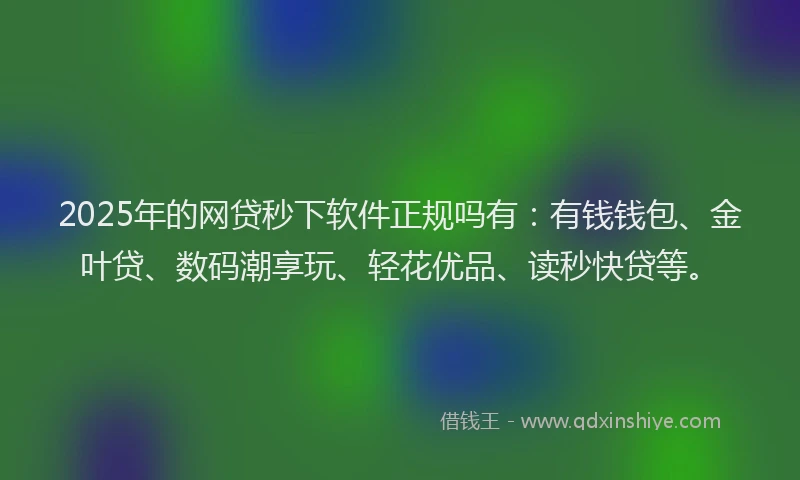 2025年的网贷秒下软件正规吗有：有钱钱包、金叶贷、数码潮享玩、轻花优品、读秒快贷等。