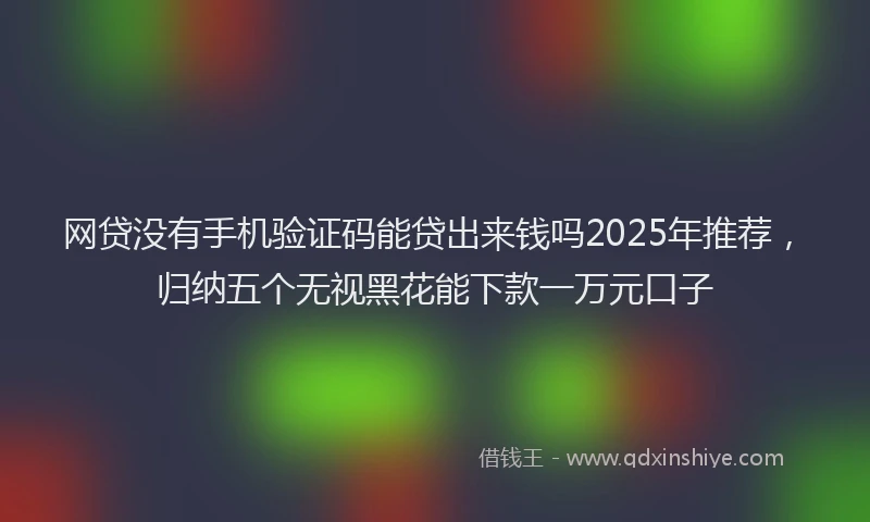 网贷没有手机验证码能贷出来钱吗2025年推荐，归纳五个无视黑花能下款一万元口子