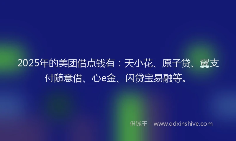 2025年的美团借点钱有：天小花、原子贷、翼支付随意借、心e金、闪贷宝易融等。