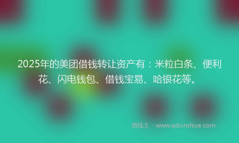 2025年的美团借钱转让资产有：米粒白条、便利花、闪电钱包、借钱宝易、哈银花等。