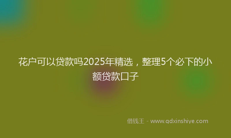 花户可以贷款吗2025年精选，整理5个必下的小额贷款口子