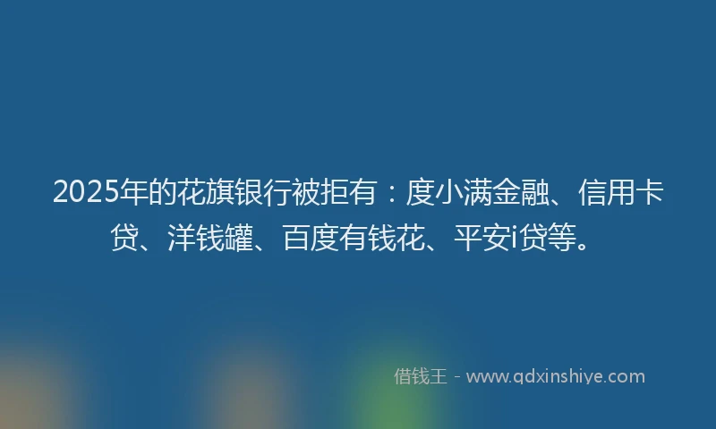 2025年的花旗银行被拒有：度小满金融、信用卡贷、洋钱罐、百度有钱花、平安i贷等。
