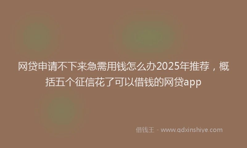网贷申请不下来急需用钱怎么办2025年推荐，概括五个征信花了可以借钱的网贷app
