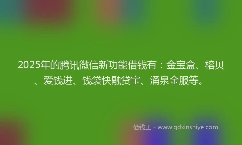 2025年的腾讯微信新功能借钱有：金宝盒、榕贝、爱钱进、钱袋快融贷宝、涌泉金服等。