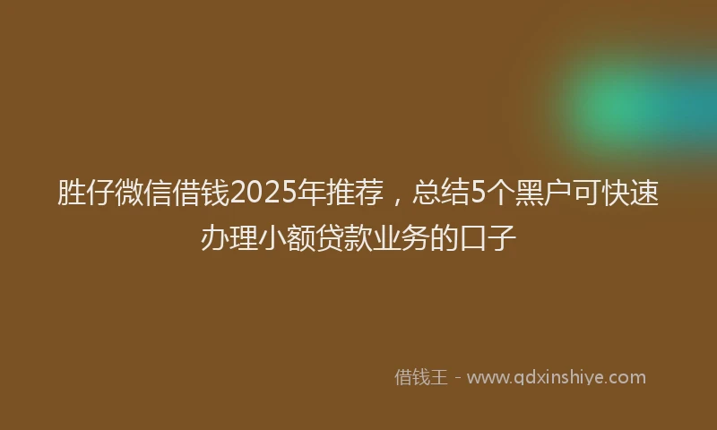 胜仔微信借钱2025年推荐，总结5个黑户可快速办理小额贷款业务的口子