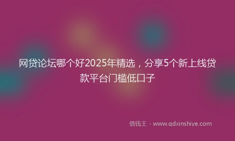 网贷论坛哪个好2025年精选，分享5个新上线贷款平台门槛低口子