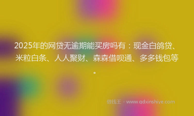 2025年的网贷无逾期能买房吗有：现金白鸽贷、米粒白条、人人聚财、森森借呗通、多多钱包等。