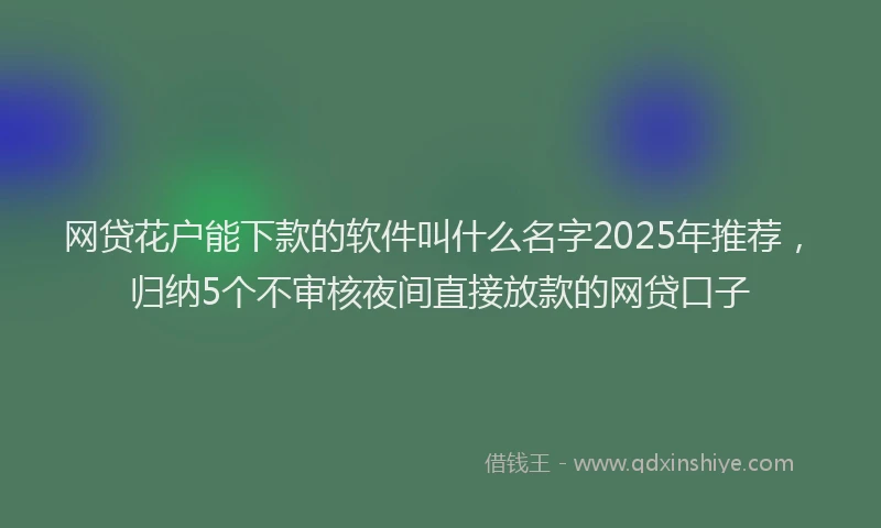 网贷花户能下款的软件叫什么名字2025年推荐，归纳5个不审核夜间直接放款的网贷口子