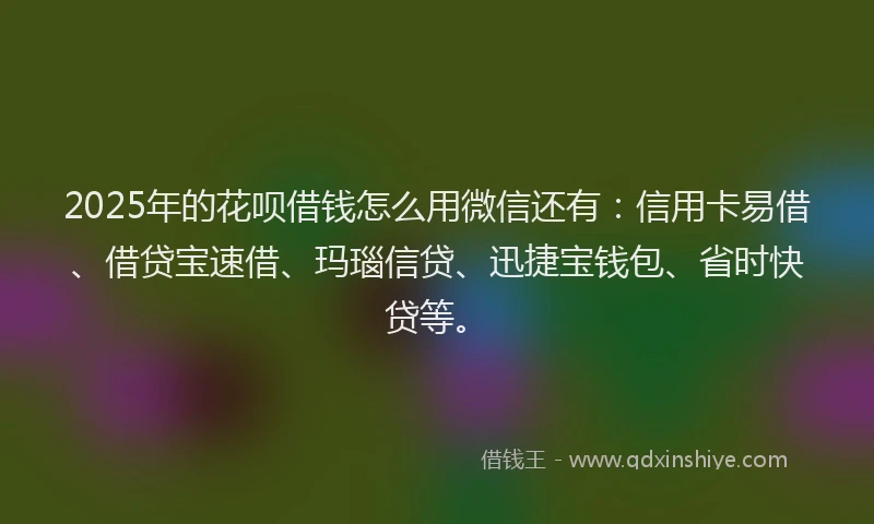 2025年的花呗借钱怎么用微信还有：信用卡易借、借贷宝速借、玛瑙信贷、迅捷宝钱包、省时快贷等。