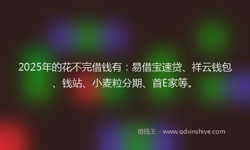 2025年的花不完借钱有：易借宝速贷、祥云钱包、钱站、小麦粒分期、首E家等。