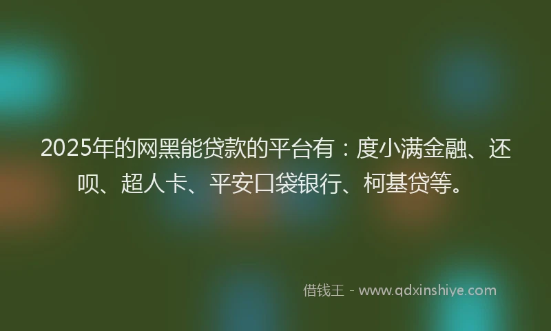 2025年的网黑能贷款的平台有：度小满金融、还呗、超人卡、平安口袋银行、柯基贷等。