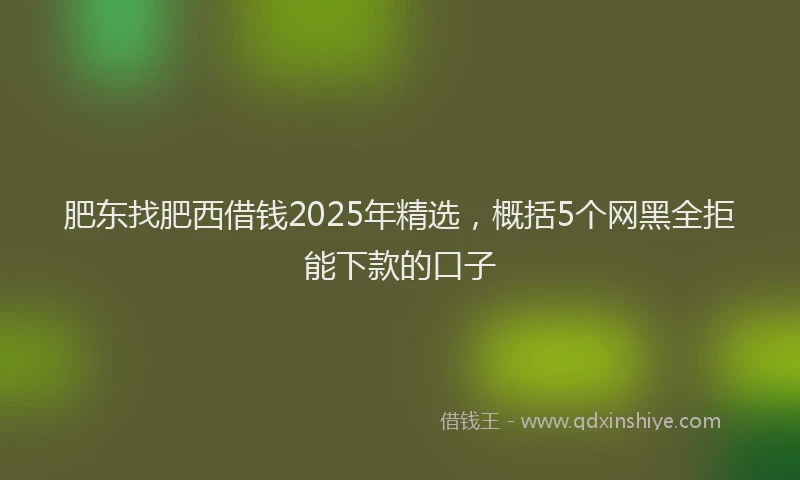 肥东找肥西借钱2025年精选，概括5个网黑全拒能下款的口子